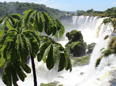 Iguazu Argentine 04